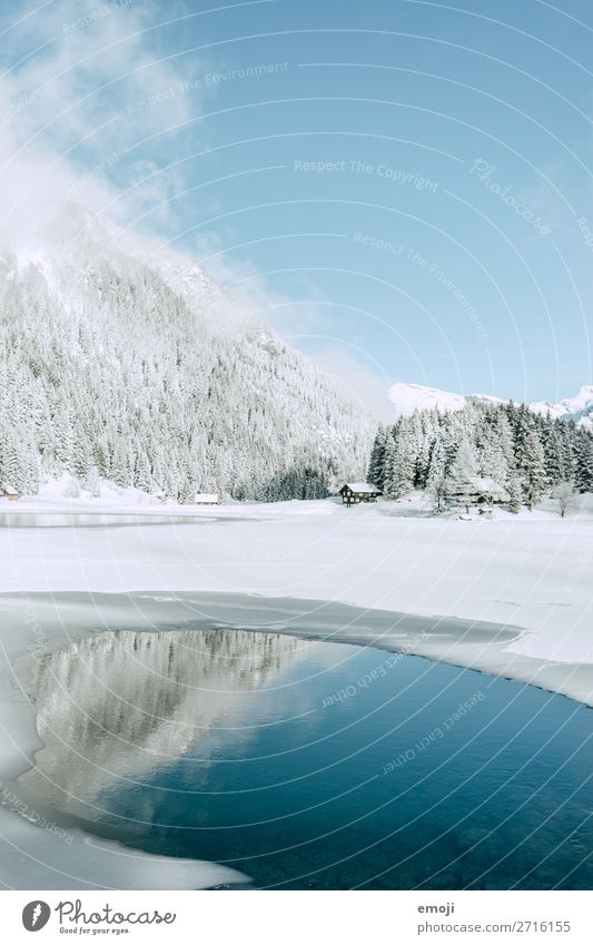 Arnisee IX Calm Tourism Trip Winter Snow Winter vacation Mountain Environment Nature Landscape Water Beautiful weather Tree Lake Exceptional Natural Blue White