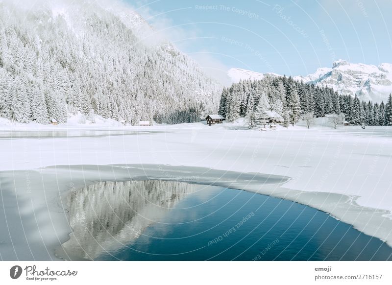 Arnisee X Calm Tourism Trip Winter Snow Winter vacation Mountain Environment Nature Landscape Water Beautiful weather Tree Lake Exceptional Natural Blue White