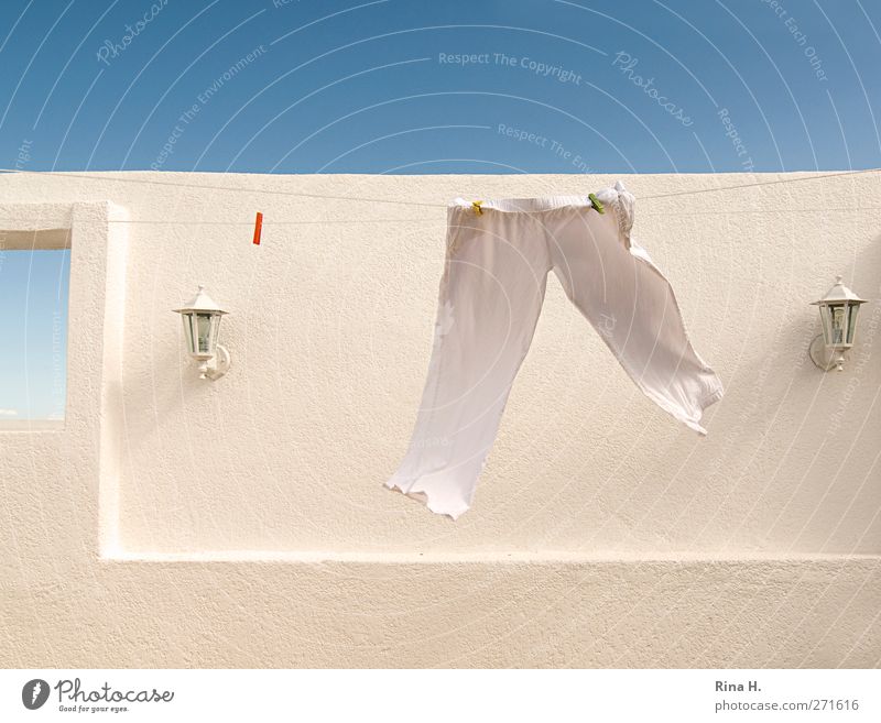 At the double.... Summer Beautiful weather Wall (barrier) Wall (building) Facade Pants Hang Walking Fresh Bright Funny Clean Blue White Advancement Ease Time