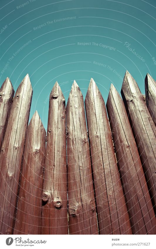 Offensive defence Environment Sky Cloudless sky Wood Aggression Threat Tall Long Point Blue Brown Protection Fence Wooden fence Wooden board Fence post
