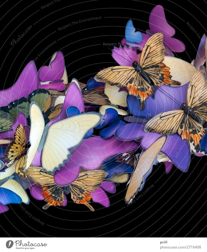 colorful butterfly ornament Beautiful Decoration Animal Butterfly Paper Ornament Together Many Blue Brown Violet Insect Crowded Symbols and metaphors