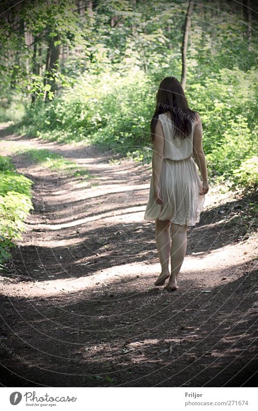 walking Summer vacation Human being Feminine Young woman Youth (Young adults) 1 18 - 30 years Adults Forest Dress Brunette Long-haired Walking Happy Wanderlust