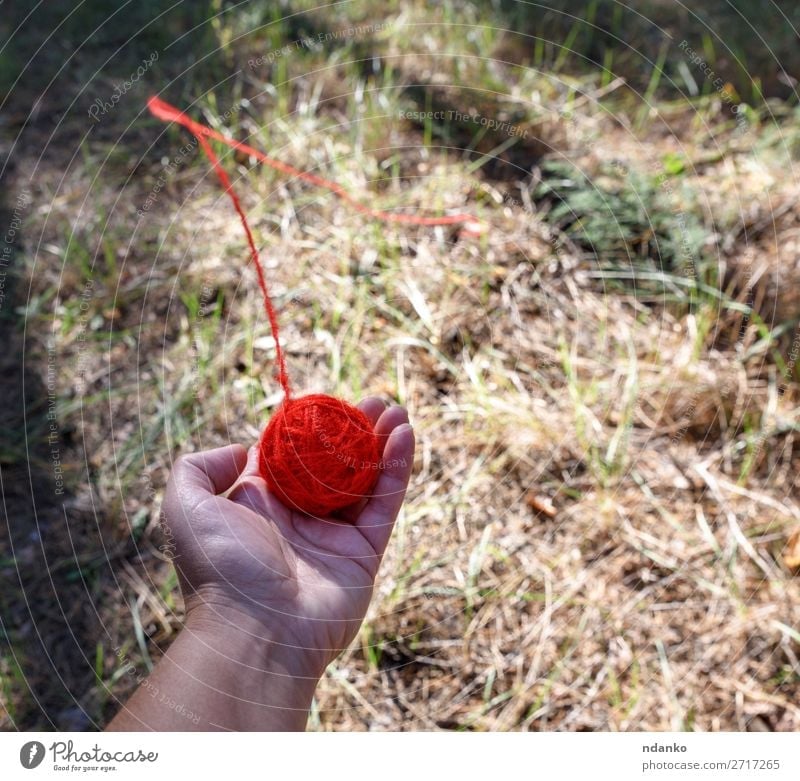 round red wool ball Hand Nature Forest Rotate Throw Bright Red Help Colour Hope Problem solving thread palm Hold Top Wool earth Ground Pull left Lost