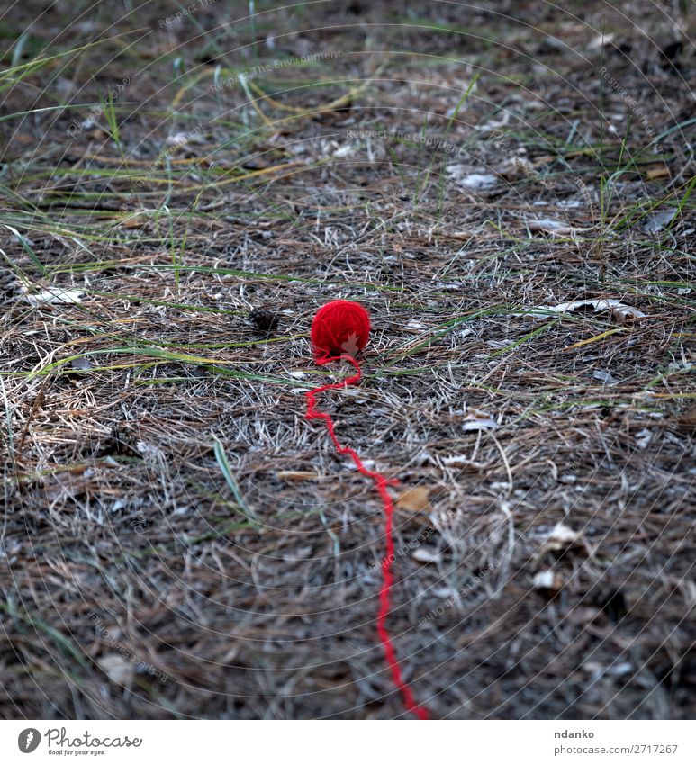small red wool ball unwound in the middle of the forest Summer Rope Nature Grass Forest Street Movement Green Red Longing Help Hope Idea clew thread Top woolen