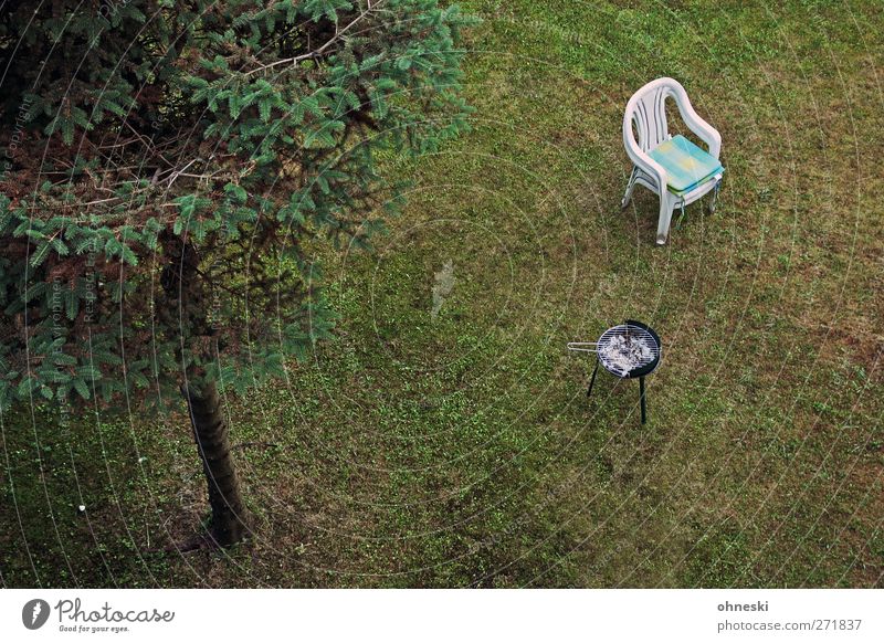 GRILLFEST Fir tree Garden Meadow Barbecue (apparatus) Chair Garden chair Cold Loneliness Boredom Deserted Colour photo Subdued colour Exterior shot