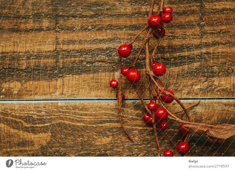 Christmas branch with red berries Fruit Winter Decoration Feasts & Celebrations Christmas & Advent Nature Plant Tree Leaf Wood New Many Green Red White Colour
