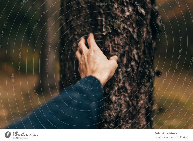 Crop man touching tree bark Man Harmonious Consistency Rough Touch Forest Nature Barque Environment Natural Wild Trunk Hand Brown Peace conservation