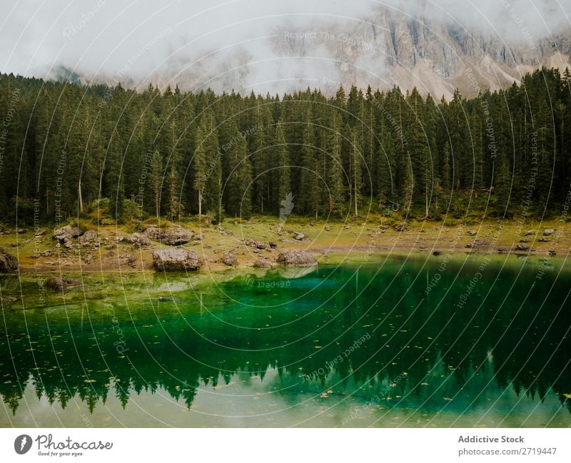Landscape with ever-green trees in Dolomites, Italy coniferous Pond Mountain Reflection Evergreen Calm Mirror Pine Water Reservoir Lake Natural tranquil