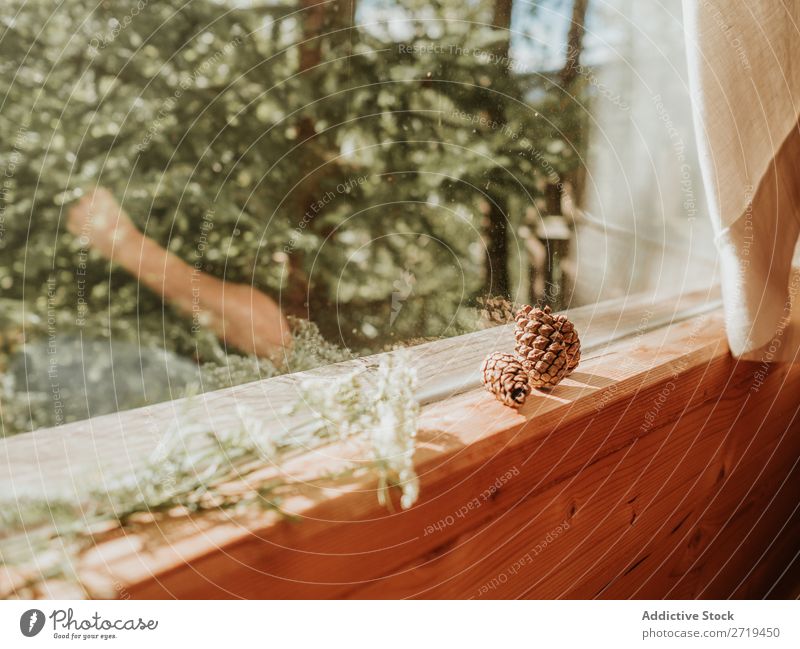 Pine cones and flowers on window sill Nature Windowsill Natural Spruce Design Sunlight Wood House (Residential Structure) Summer Terrace Style Remote Peace