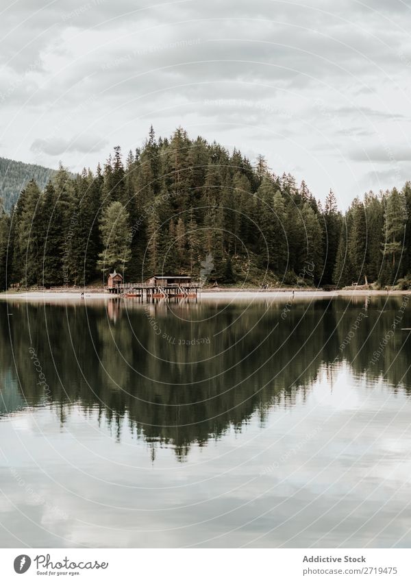 View of lake and forest Lake House (Residential Structure) Forest Dock Mountain Serene Wood Water Tree Landscape Reflection coniferous Exterior shot