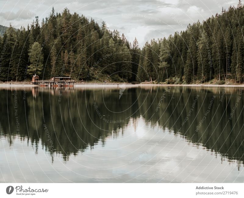 View of lake and forest Lake House (Residential Structure) Forest Dock Mountain Serene Wood Water Tree Landscape Reflection coniferous Exterior shot