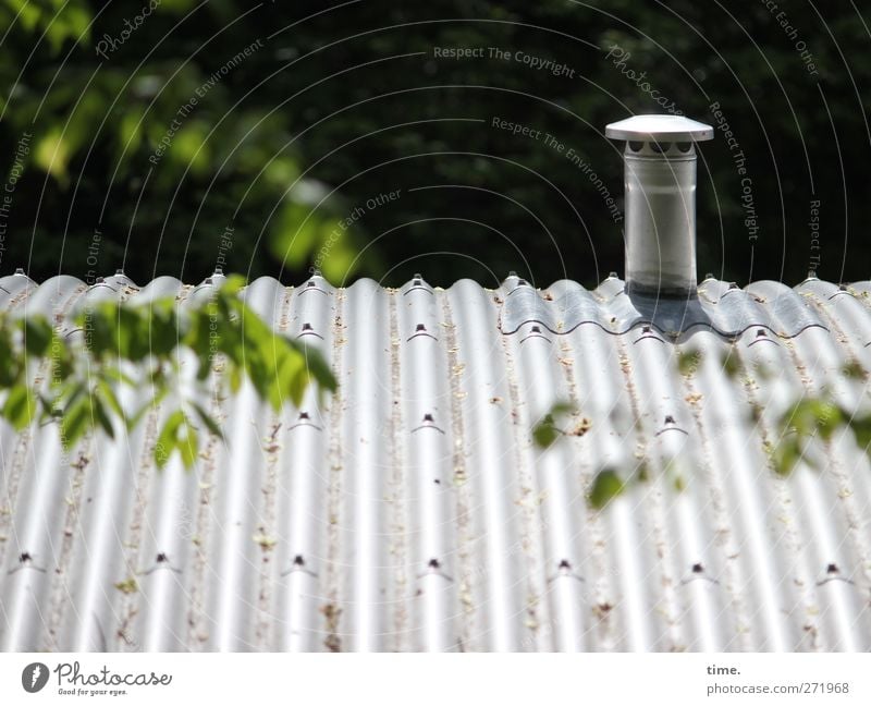 pressure relief valve Leaf Roof Chimney Corrugated sheet iron Metal Idyll Protection Colour photo Exterior shot Detail Deserted Copy Space top Copy Space bottom