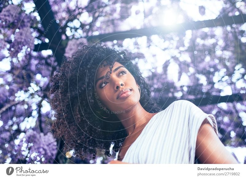 Young black woman surrounded by flowers Woman Blossom Spring Lilac Portrait photograph multiethnic Black African Mixed race ethnicity Smiling backlit from below