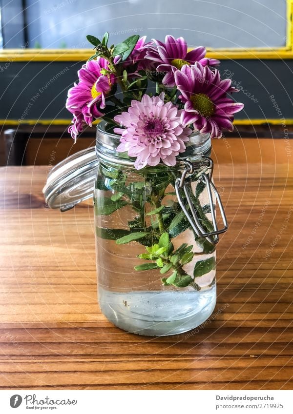 colorful daisies in jar over table Nature Spring Beautiful Pink Beauty Photography Background picture Floral Blossom leave White Plant Flower Glass Daisy
