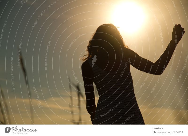 spring day Woman Human being Young woman Back-light Sun Sunbeam Summer Spring Going Meadow Nature Grass To go for a walk Loneliness Silhouette Shadow Warmth