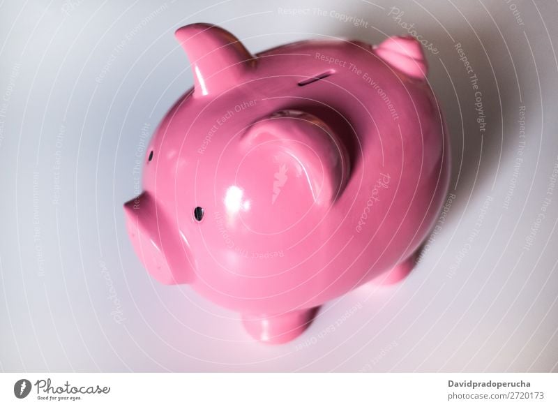 Pink saving piggy bank Money box savings Deposit investment fund earnings Economy Credit loan Financial Industry investing Safety (feeling of) Crisis Budget