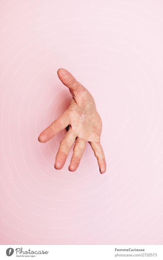 Outstretched hand of a woman Feminine 1 Human being Communicate Hide Watchfulness Splay Hand Pink Anonymous Concealed Colour photo Studio shot Copy Space left
