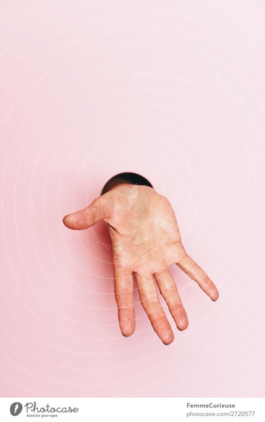 Hand of a woman showing her inner palm 1 Human being Communicate Design inner surface Life line Palm of the hand Pink Feminine Gesture Beg stop Require
