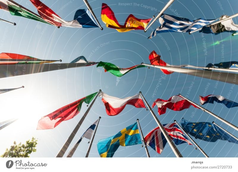 flags Cloudless sky Sign Flag Many Freedom Politics and state Europe International Colour photo Exterior shot Deserted Neutral Background Sunlight Sunbeam