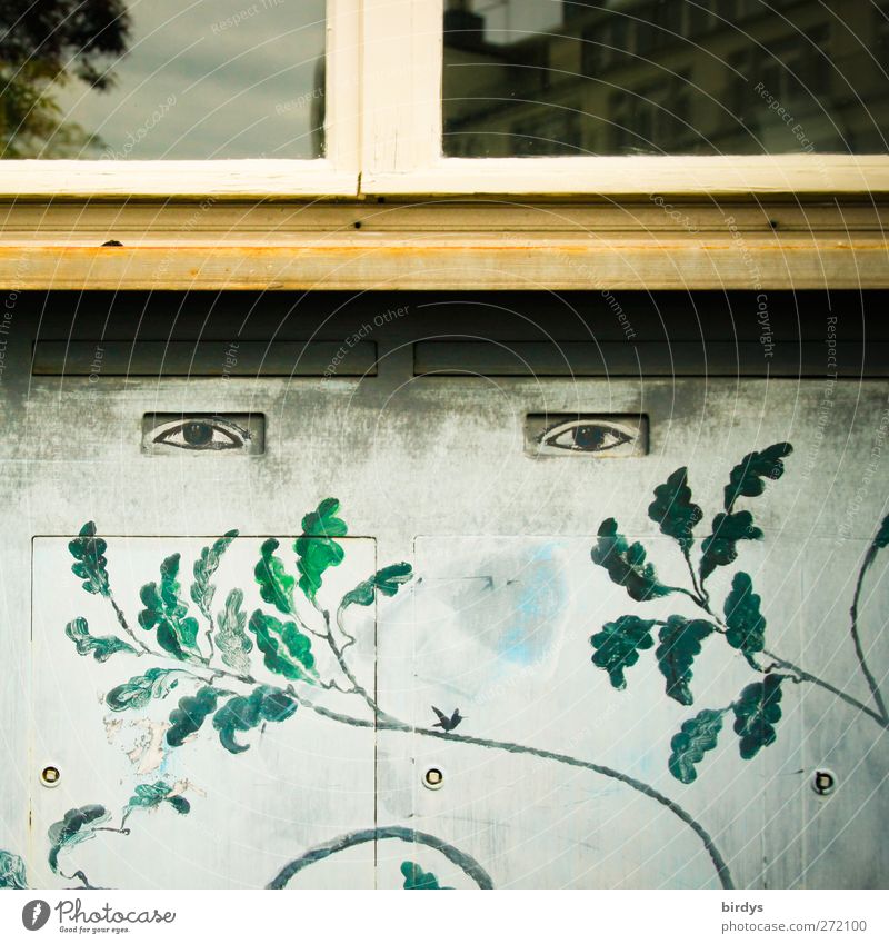 Sighted walls Painting and drawing (object) Plant Leaf Facade Window Looking Exceptional Funny Creativity Style Mural painting Eyes Window board