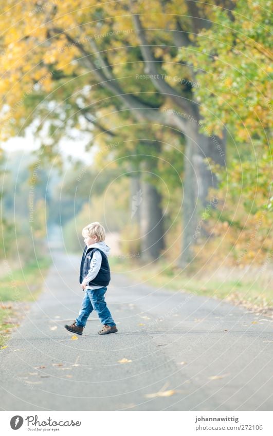 on the left Beautiful Life Playing Child Masculine Toddler Infancy 1 Human being 3 - 8 years Environment Nature Landscape Sun Autumn Beautiful weather Plant