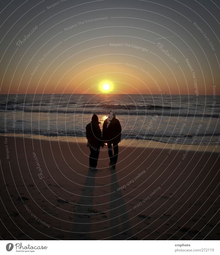 Lonesome couple... Ocean Couple Partner 2 Human being Water Sky Sunrise Sunset Coast North Sea Observe Relaxation Stand Dream Happy Trust Together Love