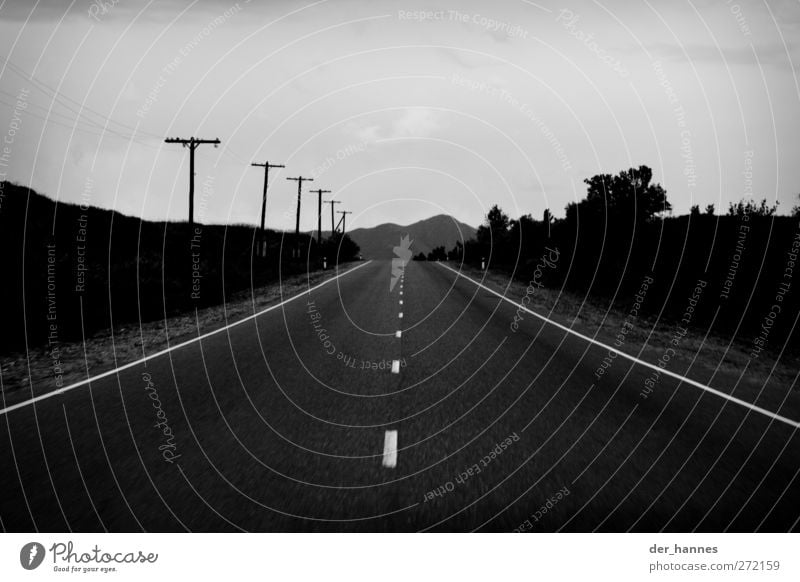 horizons Cable Horizon Hill Transport Street Driving Country road Black & white photo Exterior shot Deserted Copy Space top Copy Space bottom Day Shadow