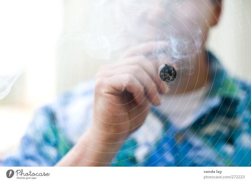 smokers Human being Masculine Man Adults Hand 1 45 - 60 years Smoking Blue Cool (slang) Luxury Death Addiction Drug addiction Ashes Smoke Havana Cigar Embers