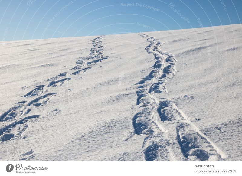 Tracks in the snow Athletic Life Well-being Winter Snow Winter vacation Hiking Sports Going Healthy Infinity Joy Contentment Freedom Nature Slope Mountain