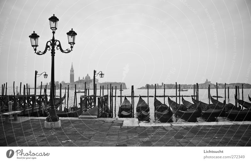 Thoughts on Venice Vacation & Travel Tourism City trip Ocean Island Civilized people cultural holiday San Marco Italy Veneto Europe Port City Old town Deserted