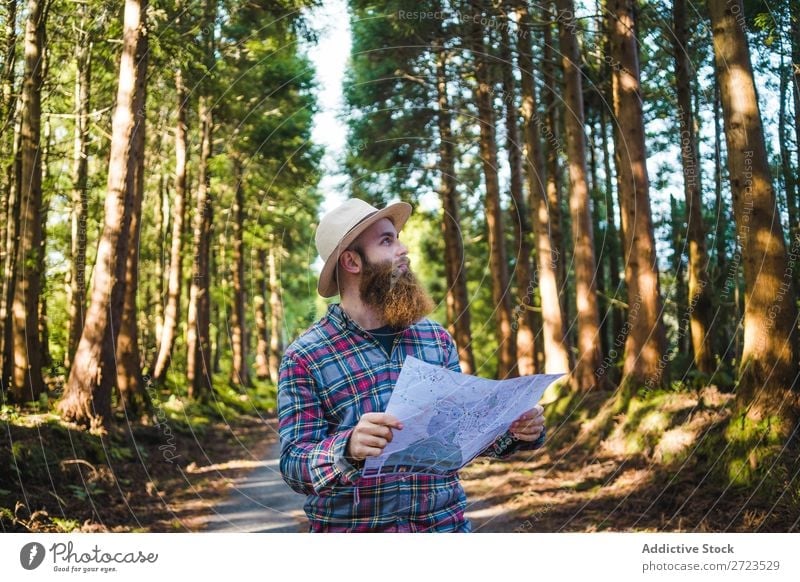 Man navigating on road in woods Tourist Nature Navigation Sunbeam Street using browsing bearded Forest Green Vacation & Travel Adventure Landscape Hiking Azores