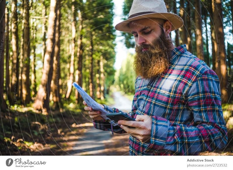 Man navigating on road in woods Tourist Nature Navigation PDA Sunbeam Street using browsing bearded Forest Green Vacation & Travel Adventure Landscape Hiking