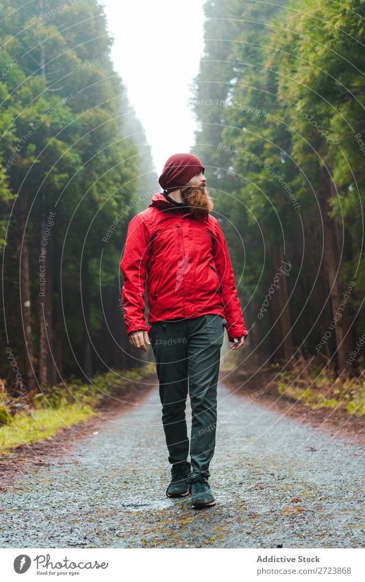 Hiker in forest with Tourist Nature Man Walking Street Red Jacket Forest Green Vacation & Travel Adventure Landscape Hiking Azores Exterior shot Vantage point