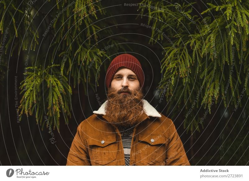 Bearded man standing at green tree Tourist Nature Man bearded warm clothes fir Tree Green Looking into the camera Forest Vacation & Travel Adventure Landscape