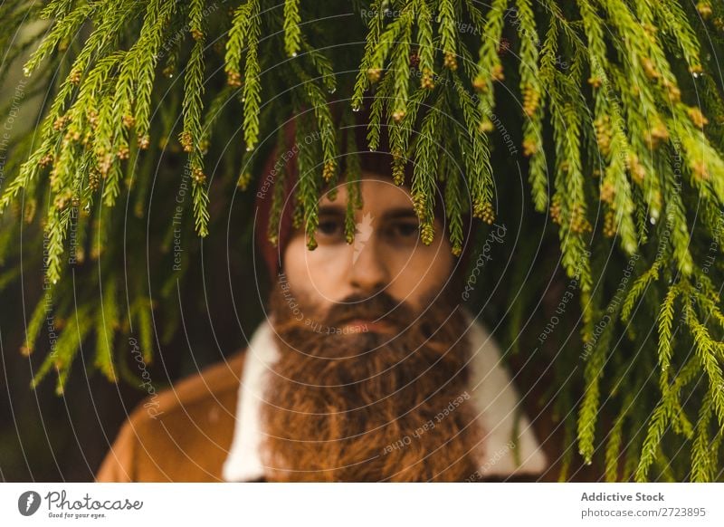 Bearded man standing at green tree Tourist Nature Man bearded warm clothes fir Tree Green Looking into the camera Forest Vacation & Travel Adventure Landscape