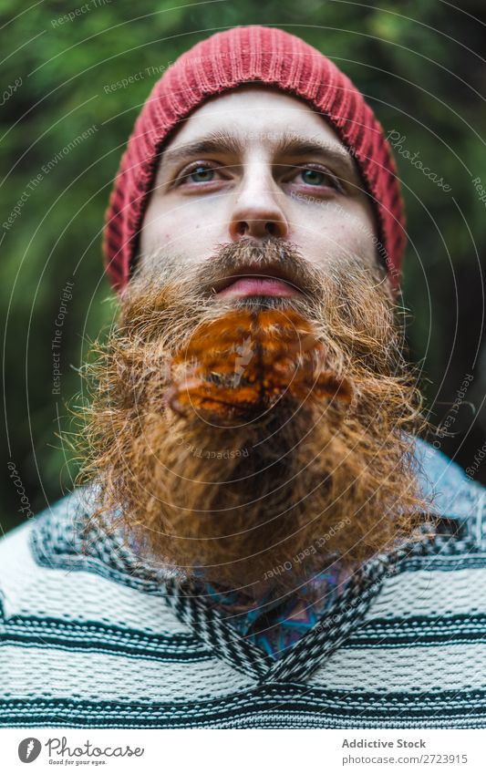 Adult man with branch in beard Tourist Forest Man Green bearded Branch Leaf Looking away Nature Vacation & Travel Tourism Lifestyle Action Leisure and hobbies