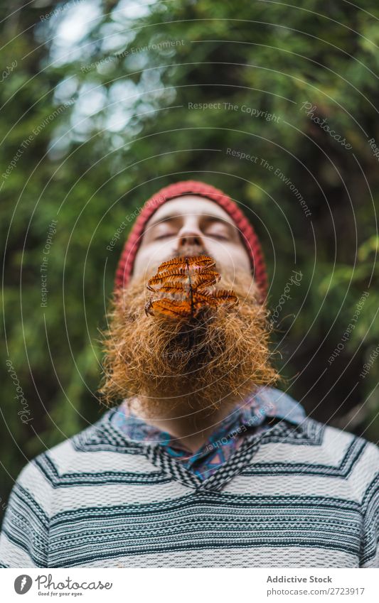 Adult man with branch in beard Tourist Forest Man Green bearded Branch Leaf Nature Vacation & Travel Tourism Lifestyle Action Leisure and hobbies Human being