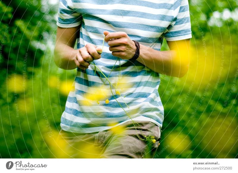 summer Masculine 1 Human being Beautiful weather Esthetic Warmth Yellow Striped sweater Marsh marigold Colour photo Multicoloured Upper body