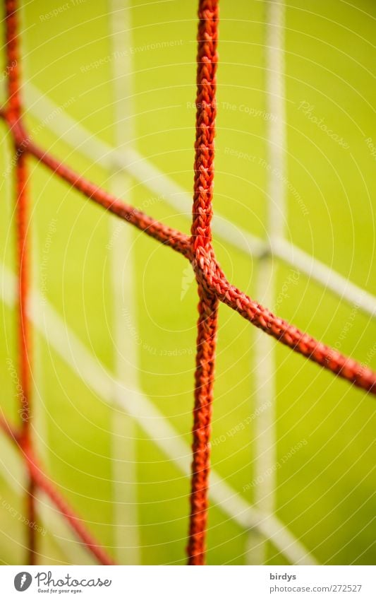 Nets of a soccer goal, weak depth of field Green Red Sports Symmetry Soccer Goal 2 Reduplication Synthesis Knot Node reticulated Bright background Colour photo