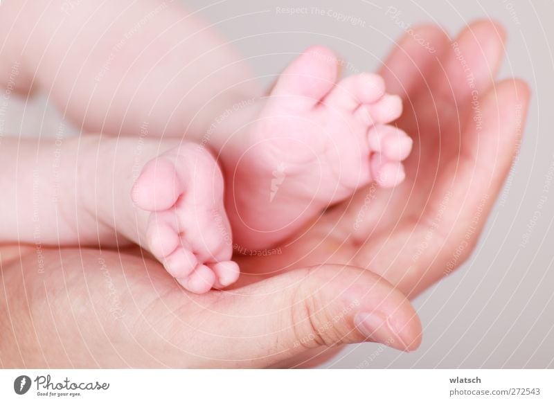 Feet in the hand Child Baby Toddler Parents Adults Mother Father Family & Relations Hand Fingers Warmth Touch Love Carrying Beautiful Small Happy Safety