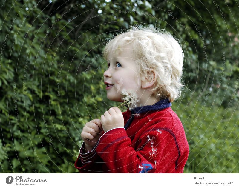 Mommy, look! Boy (child) 1 Human being 3 - 8 years Child Infancy Spring Beautiful weather Jacket Blonde Curl Smiling Playing Faded Happiness Happy Natural Green