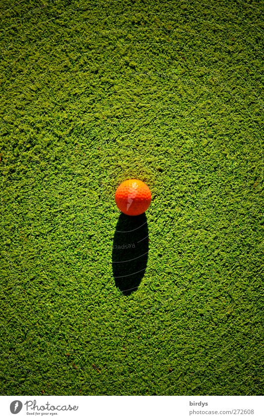 game ball Golf Golf ball Illuminate Round Green Orange Center point Sports Grass surface Artificial lawn Sphere 1 Shadow Object photography Copy Space top