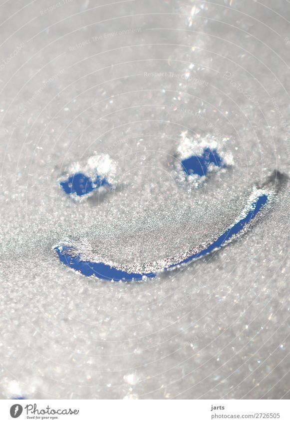 joyful Face Eyes Mouth Winter Beautiful weather Ice Frost Laughter Simple Fresh Cold Funny Positive Joy Contentment Optimism Smiley Colour photo Subdued colour