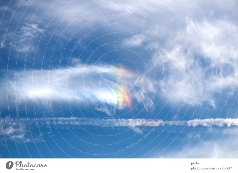 intothesky Sky Clouds Bad weather Natural Positive Beautiful Blue Nature Rainbow Colour photo Exterior shot Deserted Copy Space left Copy Space right