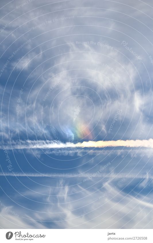 intothesky II Sky Clouds Beautiful weather Natural Blue Freedom Nature Rainbow Vapor trail Colour photo Multicoloured Exterior shot Deserted Copy Space left