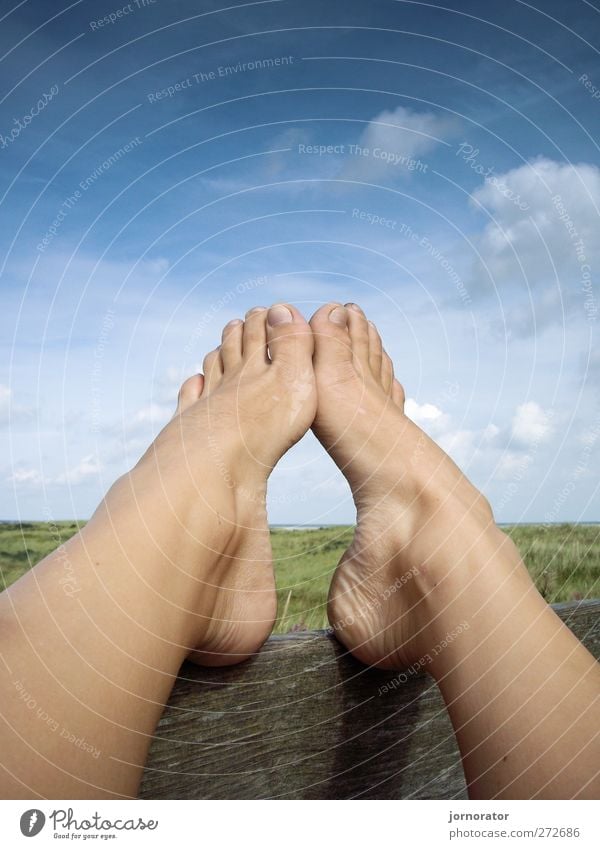 Feet - Sky - Wood Human being Feminine Woman Adults 1 Environment Nature Landscape Sunlight Summer Stagnating Clouds Relaxation Toes Lower leg Rest Break