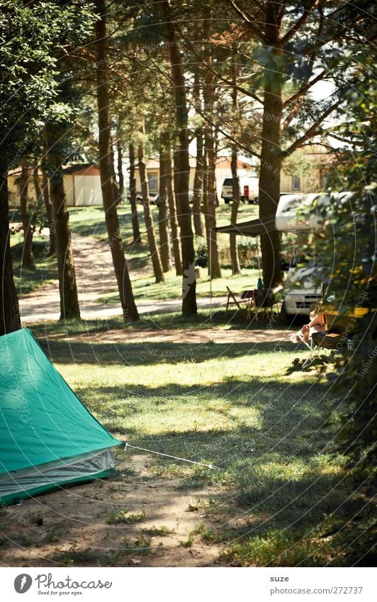 camping feeling Leisure and hobbies Vacation & Travel Trip Camping Summer Environment Nature Tree Meadow Forest Mobile home Authentic Simple Green Relaxation