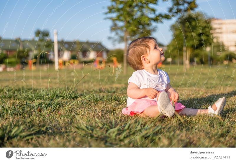 Happy baby girl playing sitting on a grass park Lifestyle Joy Beautiful Leisure and hobbies Playing Summer Garden Child Human being Baby Toddler Infancy Nature