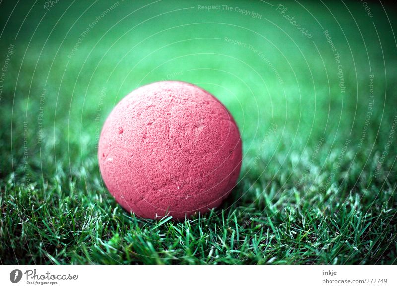 The ball is round. Playing Ball Grass Lie Near Round Green Red Leisure and hobbies Vignetting Colour photo Exterior shot Close-up Deserted Day Light Contrast