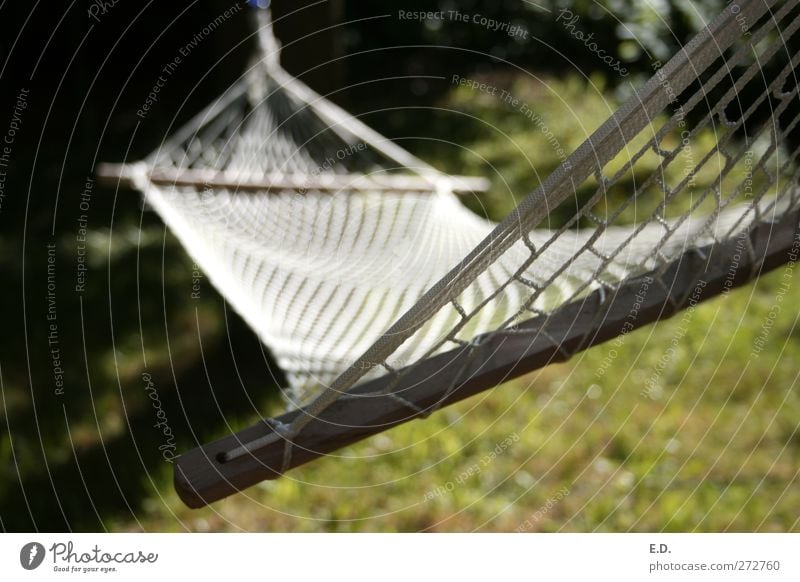 just relax and unwind Vacation & Travel Freedom Summer Garden Environment Nature Earth Meadow Hammock Relaxation To enjoy Hang Lie To swing Sleep